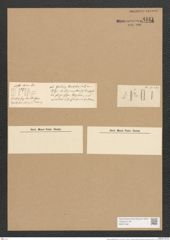 Nitzschia fragilarioides Grun. (de-Toni-Nr.: Genus 47, Species 2082) Zeichnungen Sammlung Grunow Nr. 4121 (NHMW-BOT-W0371991)